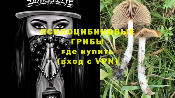 PSILOCYBIN Гусиноозёрск